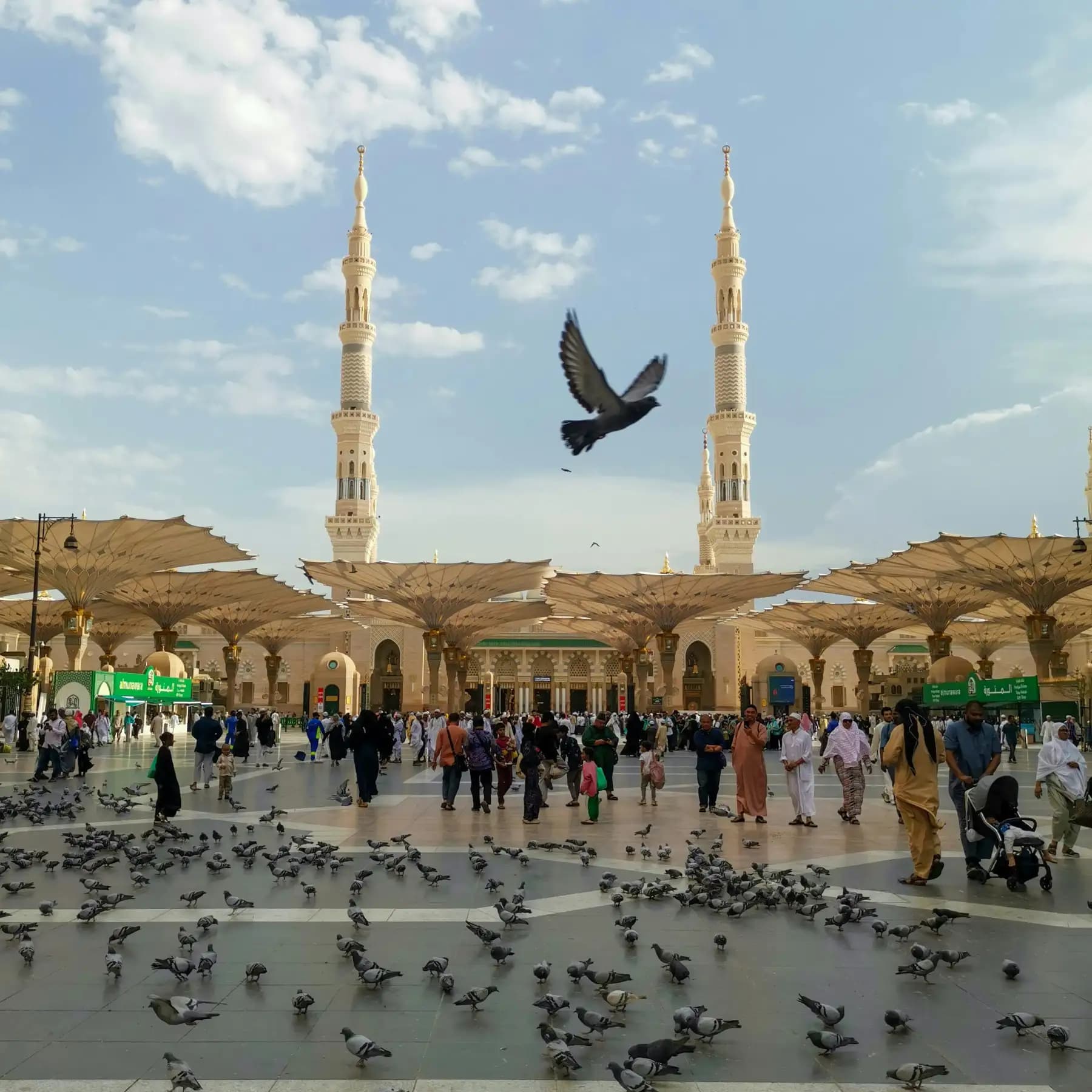14. UMRAH 13 OKT 2026