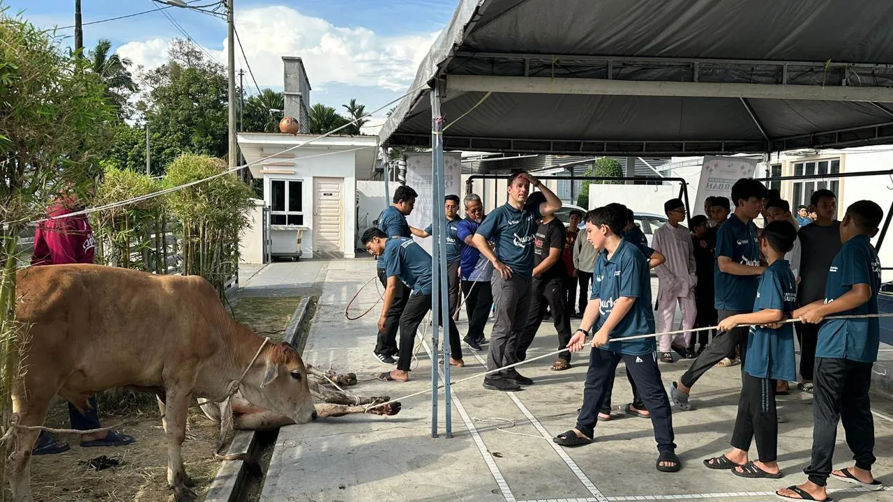 Pengagihan daging qurban